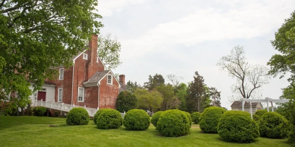 Williamsville Wellness